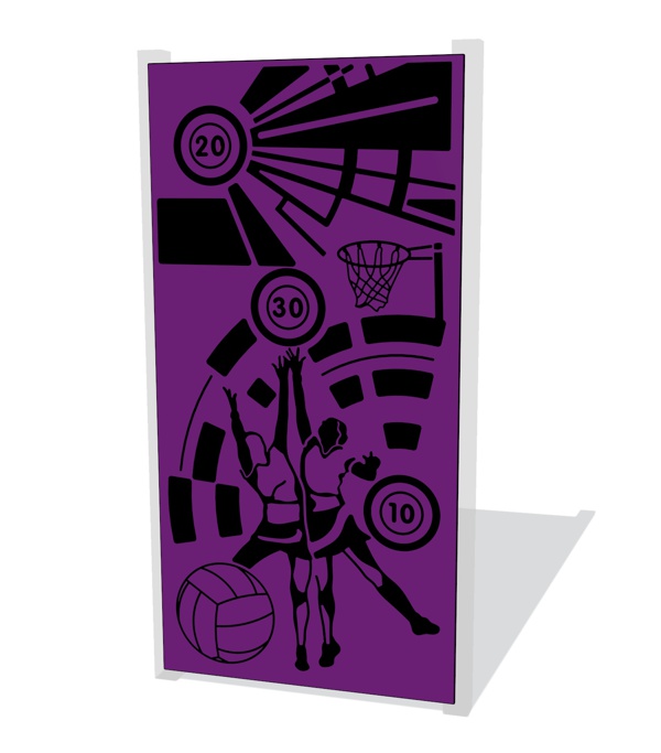 Sports Wall Netball Panel